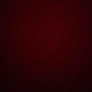 Meet your Posher, Victor